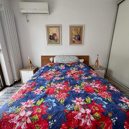 Kazanlak Large Guest House Apartment Near The Center With Full Kitchen & Dining Room, King Beds, Garden Patio, Free Parking & Self Check-In Εξωτερικό φωτογραφία